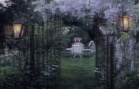wisteria garden